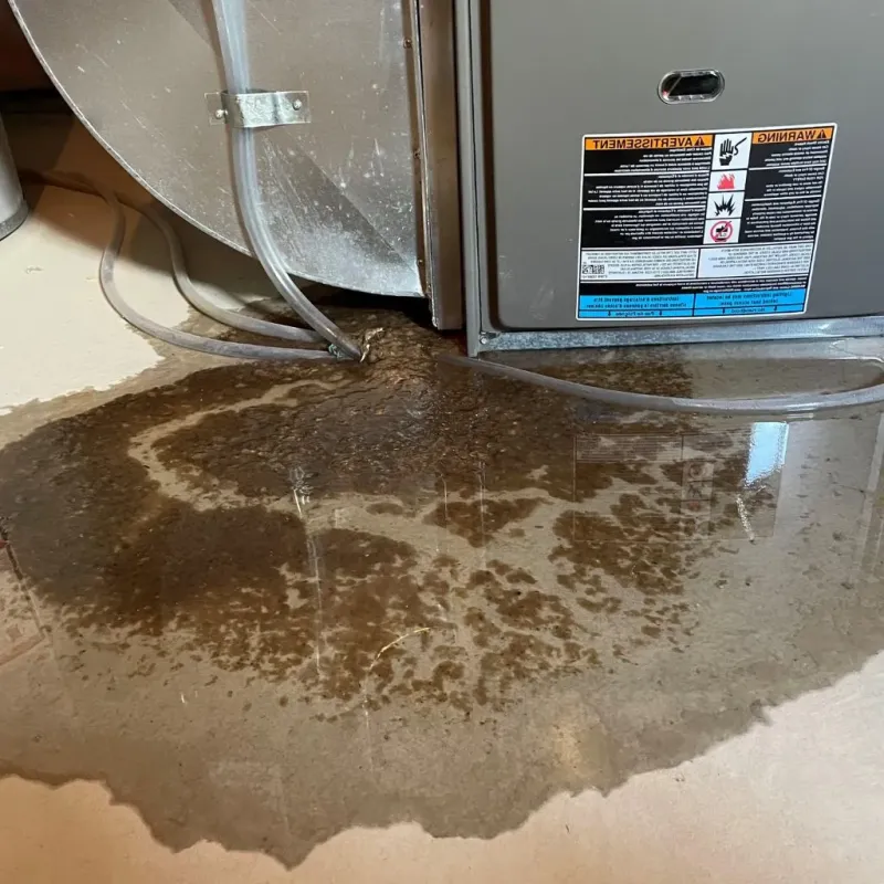 Pipe Burst and Leak Restoration in Entiat, WA