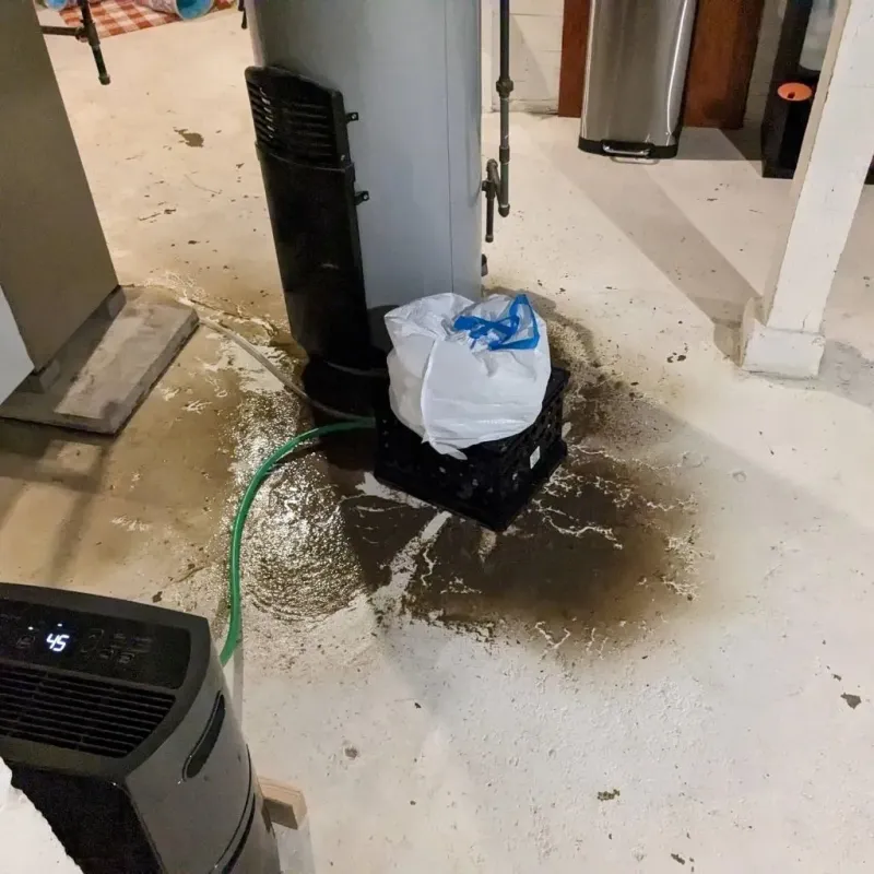Sewage Backup Cleanup Service in Entiat, WA